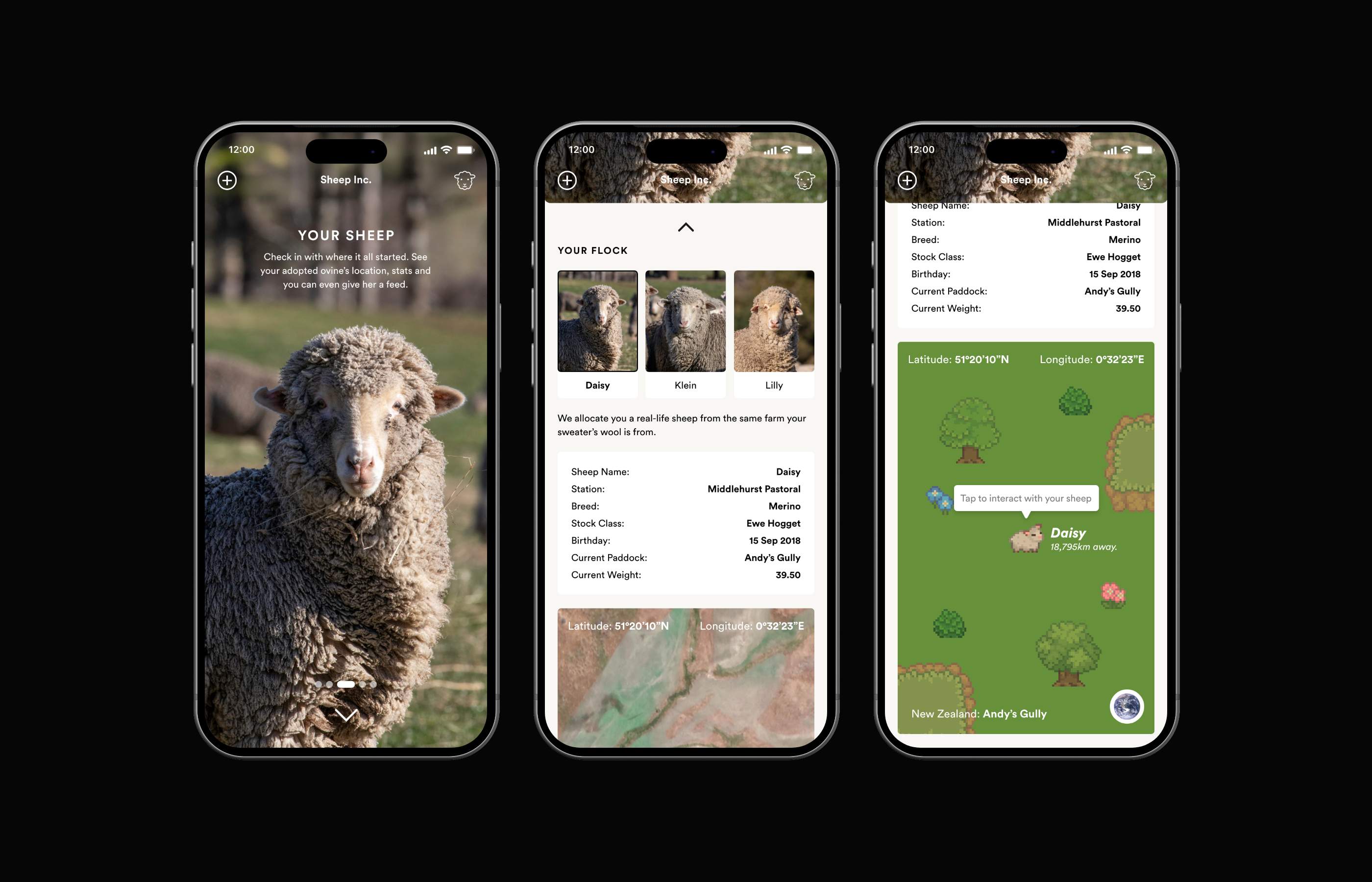 The Connected Dot — your sheep screen
